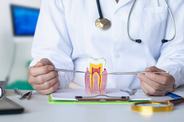 Best Emergency Tooth Extraction  in Webster Groves, MO